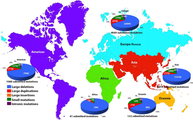 小身躯，大使命：挑战人体最大基因DMD人源化小鼠
