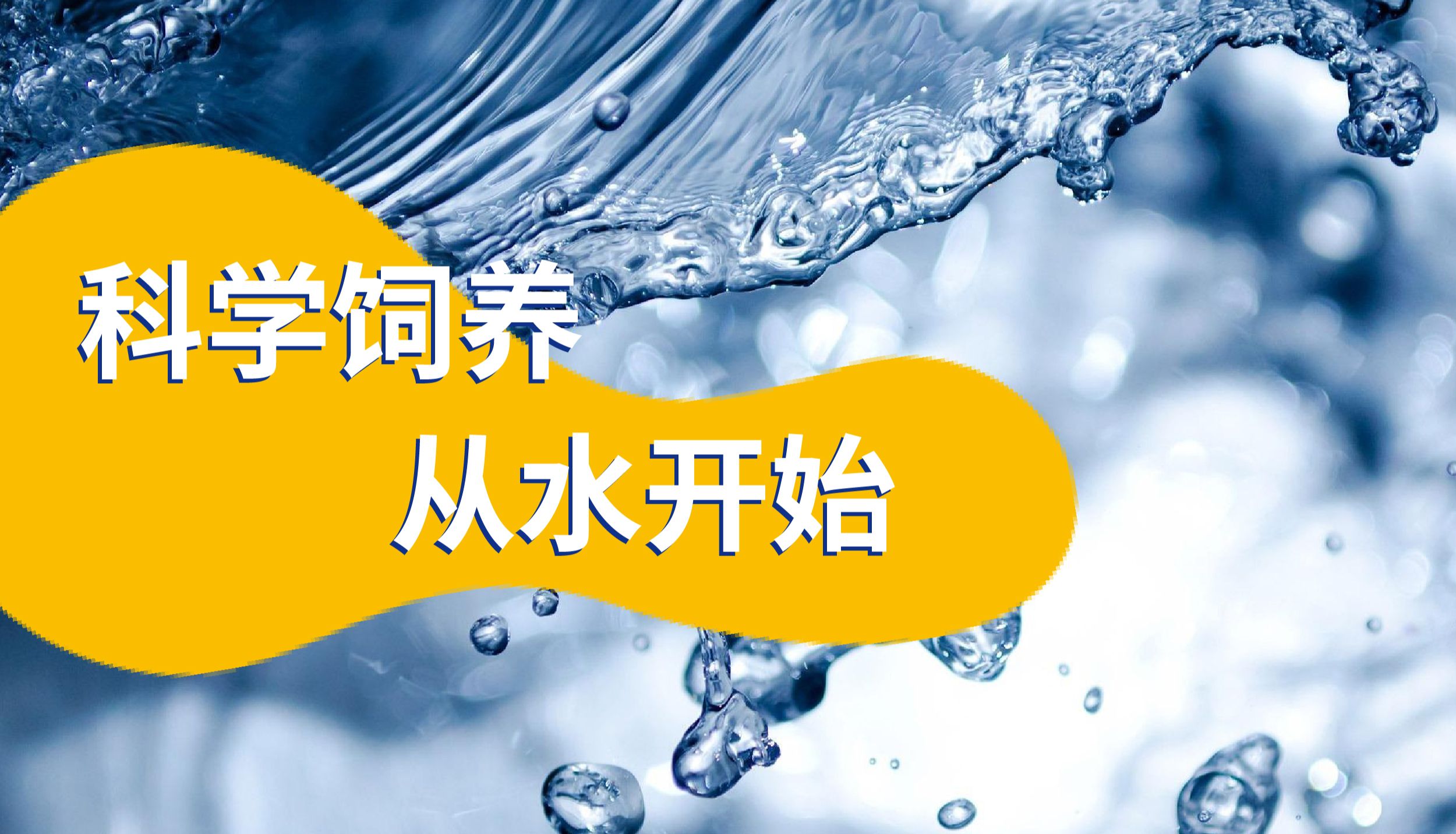 实验室动物饲养纯水机选型指南