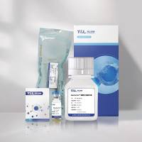 MaxSortin®CD3分选试剂盒