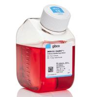 DMEM，高糖，GlutaMAX™ 添加剂，10569010-500mL