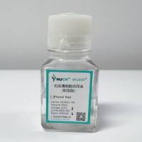 无血清细胞冻存液（即用型）