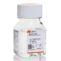 MEM 非必需氨基酸溶液 (100X)，11140050-100mL