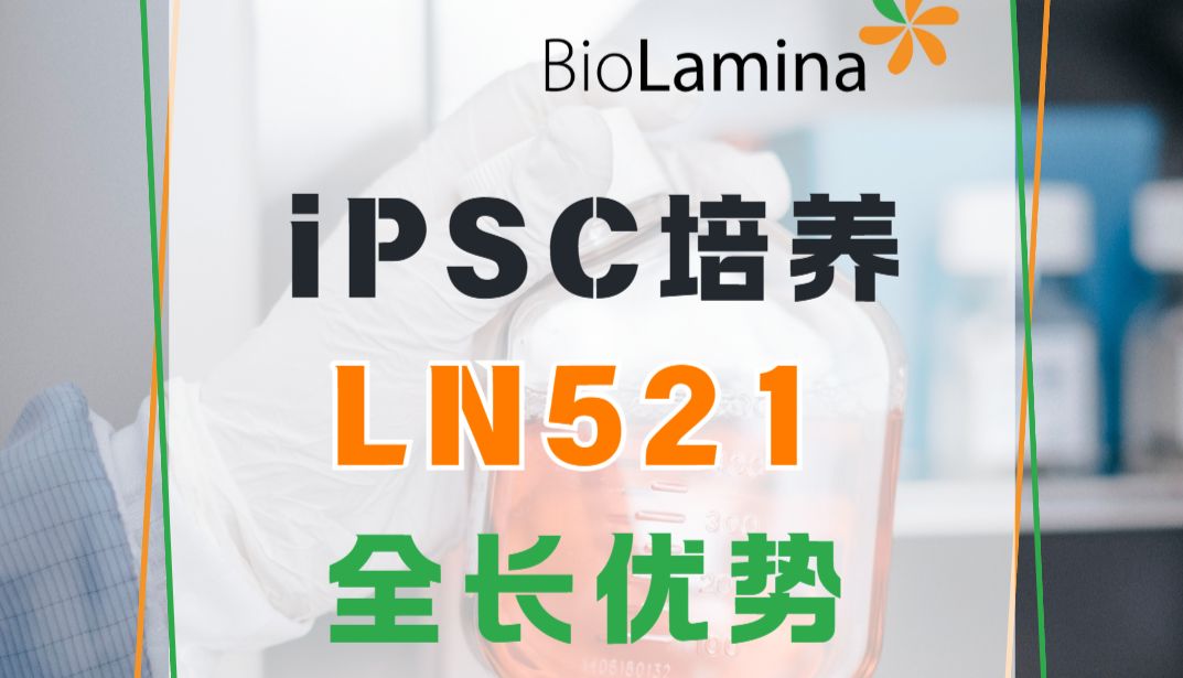 Biolaminin全长人层粘连蛋白：干细胞研究与应用的关键要素