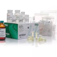 TrypLE™ Select 酶 (10X)，无酚红，A1217702-500mL