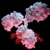 ADC药物的三大核心技术：抗体、连接子与毒素（抗体偶联药物）子时纳米提供专业的技术服务