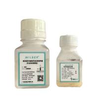   间充质干细胞无血清培养基（外泌体倍增型）