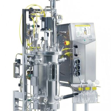 质粒生产制备服务