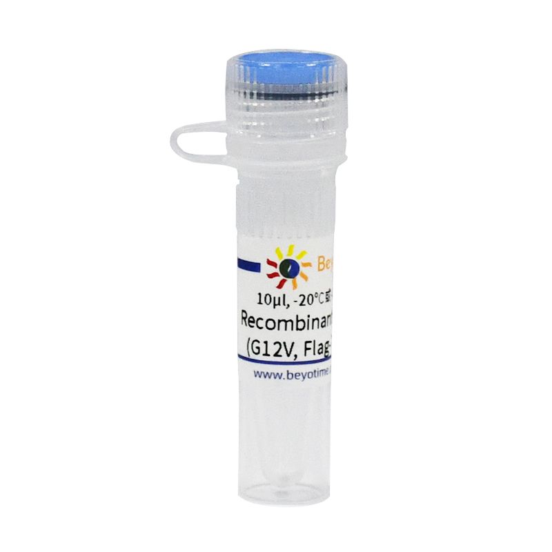 Recombinant Human KRas4B (G12D, His-Tag)