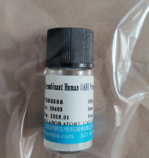 重组人SIGLEC8/SAF-2活性蛋白, C-His标签