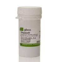 分散酶 II，粉末，17105041-5g