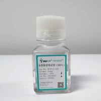 水浴锅消毒试剂（200×）