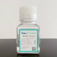 两性霉素B，250μg/ml