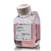 Opti-MEM™ I 减血清培养基，31985070-500mL