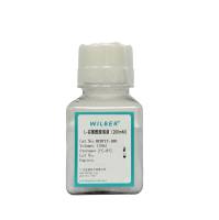 L-谷氨酰胺溶液（200mM）