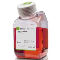 TrypLE™ Express 酶 (1X)，含酚红，12605028-500mL