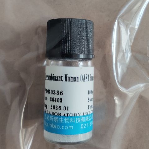 重组人SIGLEC8/SAF-2活性蛋白, C-His标签