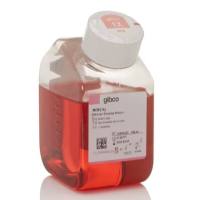 MEM，NEAA，不含谷氨酰胺，10370021-500mL