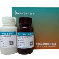 飞克级ECL发光底物试剂盒