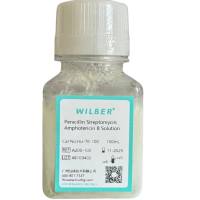 三抗（青链霉素，两性霉素B）