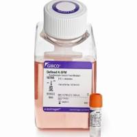 成分确定的角质形成细胞 SFM (1X)，10744019-500mL