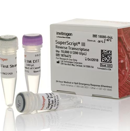SuperScript™ III 反转录酶,18080044-10000units