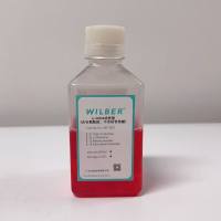 α-MEM培养基（含谷氨酰胺，不含核苷核酸）