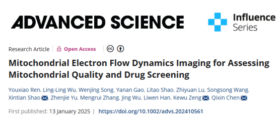山东第一医科大学团队设计新型探针来检测线粒体电子流