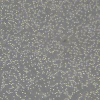 Daudi细胞敲除hCMTM6基因细胞系