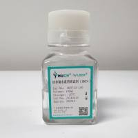 培养箱水盘消毒试剂（100×）