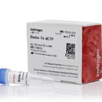 Biotin-14-dCTP，19518018-50nmol