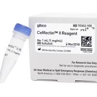 Cellfectin™ II 试剂，10362100-1mL