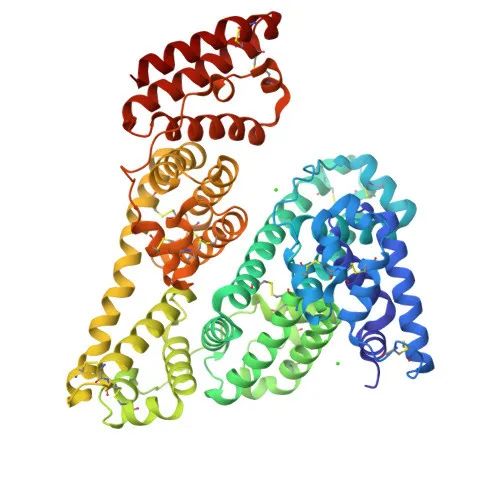 【resDetect™即用型、快速检测】BSA残留检测试剂盒