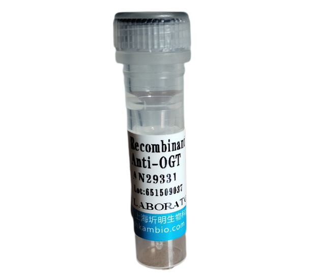 补体C3转化酶(C3 Convertase)重组蛋白,人