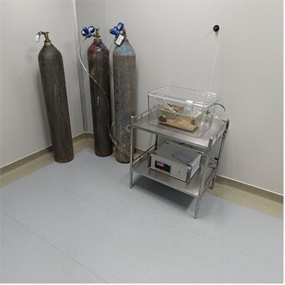 动物低氧饲养箱,动物缺氧箱,动物缺氧系统