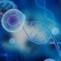 墨卓单细胞转录组测序