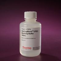Thermo Scientific 37578StartingBlock (PBS) 封闭缓冲