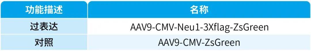 【AAV在肾脏疾病中的应用】IF=17.69│中国药科大学齐炼文教授/张蕾研究员团队揭示肾纤维化治疗新靶点及相关机制