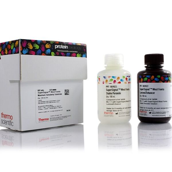 SuperSignal West Femto 超敏化学发光底物 34096 thermo 200 mL