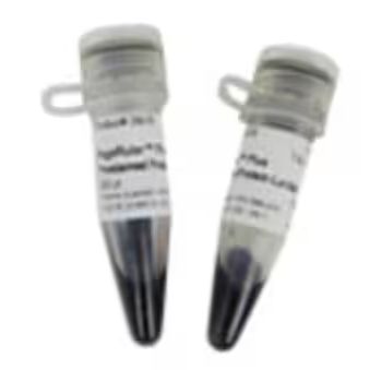 赛默飞 PageRuler Plus 预染蛋白分子量标准 10 to 250 kDa 26620 10x 250μL