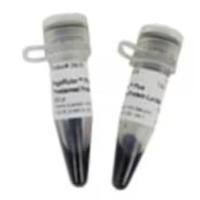 赛默飞 PageRuler Plus 预染蛋白分子量标准 10 to 250 kDa 26620 10x 250μL