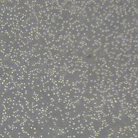 Daudi细胞敲除hCD72基因细胞系