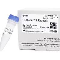 Cellfectin™ II 试剂，10362100-1mL