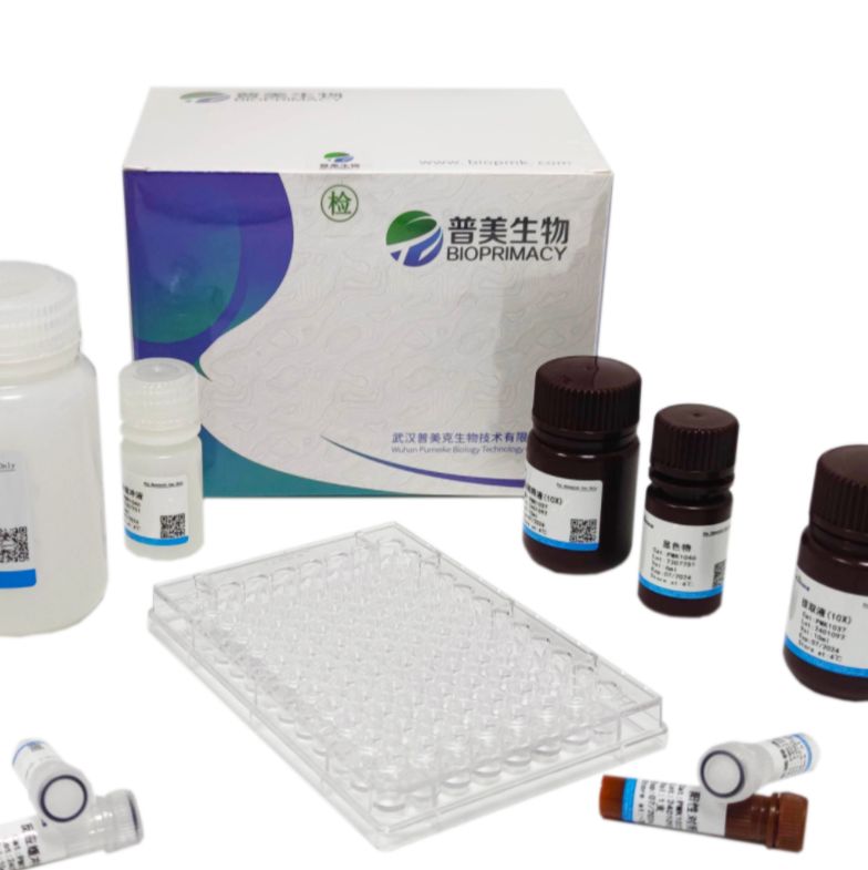 乳酸脱氢酶细胞毒性检测试剂盒