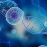 10x 单细胞转录组测序