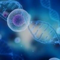 10x 单细胞转录组测序