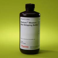 21059 赛默飞 Restore Western 印迹剥离缓冲液 500 mL
