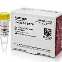 生物素-14-dATP，19524016-50nmol