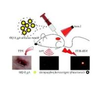Ag₂S硫化银量子点被RGD多肽修饰