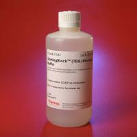 37542 StartingBlock (TBS) 封闭缓冲液 赛默飞 1 L