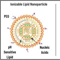 负载利福平（RIF）、异烟肼（INH）和吡嗪酰胺（PZA）的雾化固体脂质颗粒（SLN）